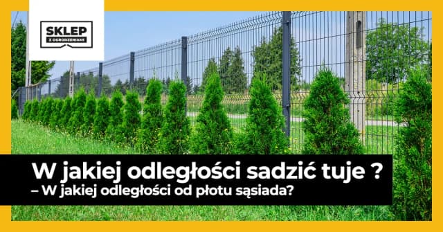 Jaką odległość zachować przy sadzeniu tuji szmaragd od ogrodzenia? Jaką odległość zachować przy sadzeniu tuji szmaragd od ogrodzenia?