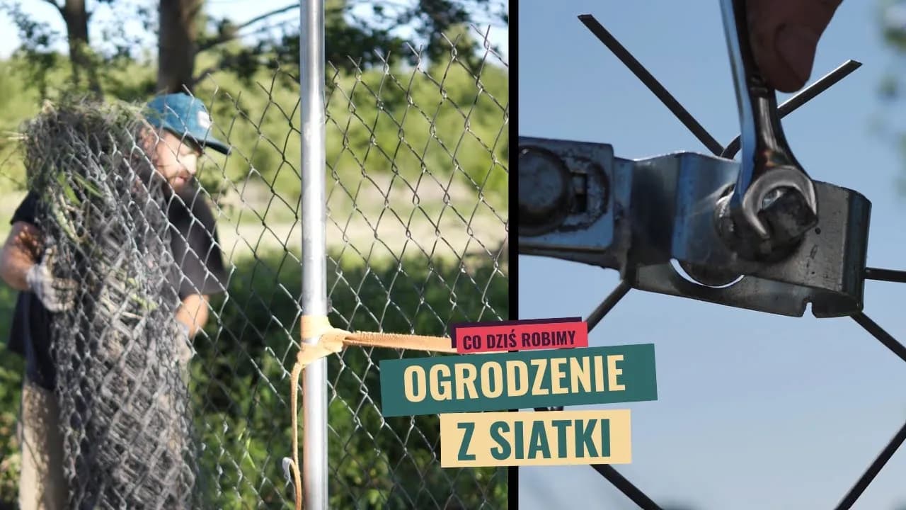 Jak postawić ogrodzenie z siatki i uniknąć najczęstszych błędów Jak postawić ogrodzenie z siatki i uniknąć najczęstszych błędów