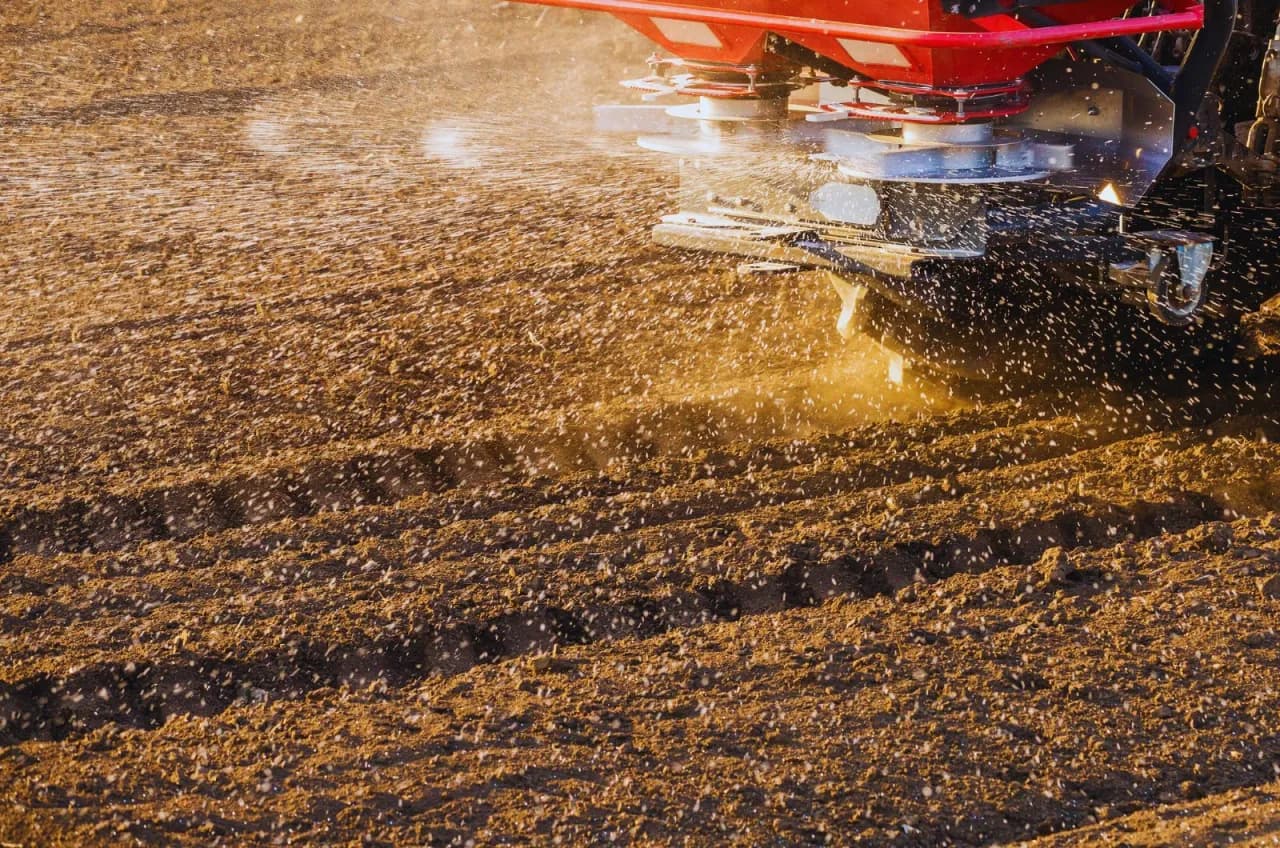 Wybierz najlepsze wapno do ogrodu: rodzaje i zastosowanie na każdą glebę Wybierz najlepsze wapno do ogrodu: rodzaje i zastosowanie na każdą glebę